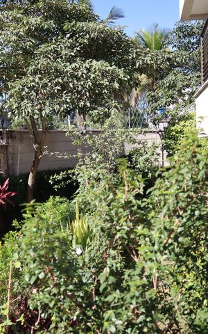 Apartamento à venda com 152m², 3 quartos e 2 vagasAREA EXTERNA PRIVADA DO APARTAMENTO