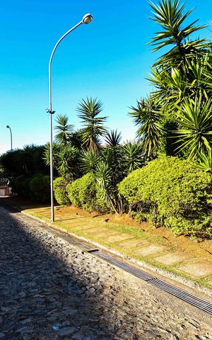 Apartamento à venda com 80m², 3 quartos e 1 vagaÁrea externa
