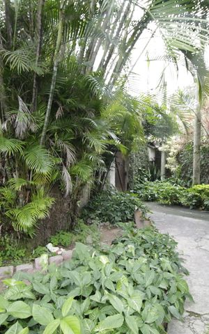 Casa à venda com 340m², 3 quartos e sem vagaJardim
