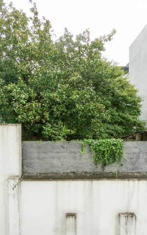 Apartamento para alugar com 49m², 2 quartos e 1 vaga Apartamento para alugar com 49m², 2 quartos e 1 vagaVista do quarto 01