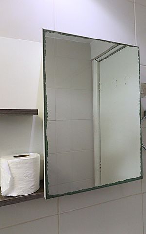 Apartamento para alugar com 40m², 1 quarto e 1 vagaBanheiro 