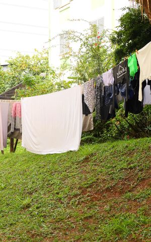 Apartamento à venda com 65m², 2 quartos e 1 vagaÁrea comum - Varal comunitário