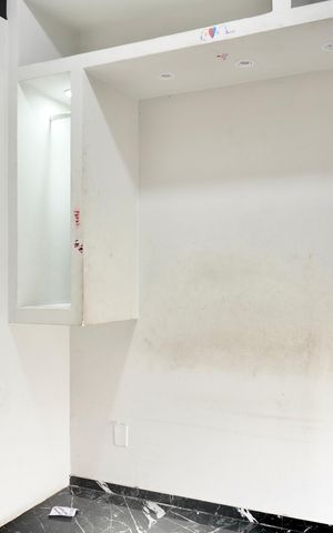 Apartamento para alugar com 60m², 1 quarto e sem vagaQuarto 