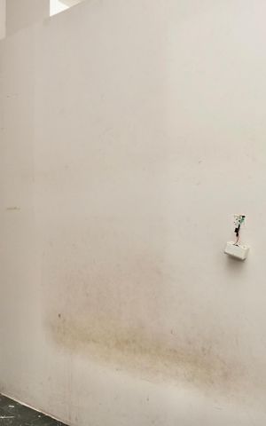 Apartamento para alugar com 60m², 1 quarto e sem vagaQuarto 