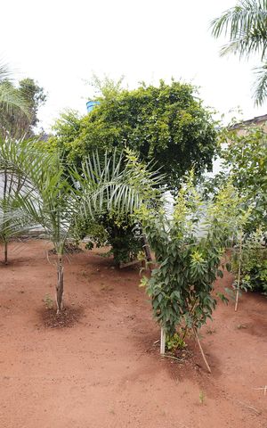 Casa para alugar com 184m², 3 quartos e 3 vagas