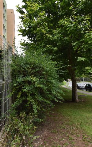 Apartamento à venda com 64m², 2 quartos e 2 vagasPlaca