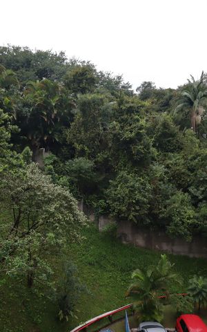 Apartamento à venda com 52m², 2 quartos e 1 vagaVista do Quarto 2