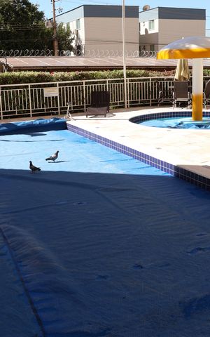 Apartamento para alugar com 50m², 2 quartos e 1 vagaÁrea comum