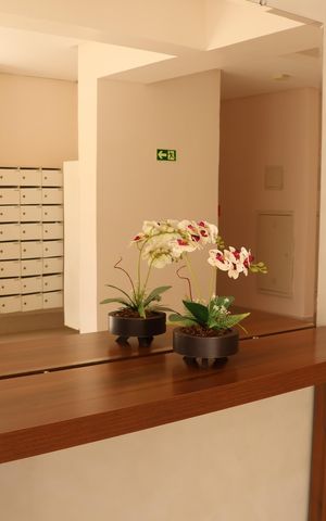 Apartamento para alugar com 50m², 2 quartos e 1 vagaÁrea comum