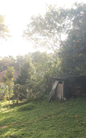 Casa à venda com 330m², 6 quartos e 2 vagasJardim