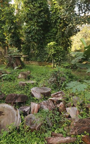 Casa à venda com 330m², 6 quartos e 2 vagasJardim