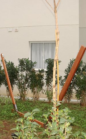 Apartamento à venda com 39m², 1 quarto e sem vagaÁrea comum