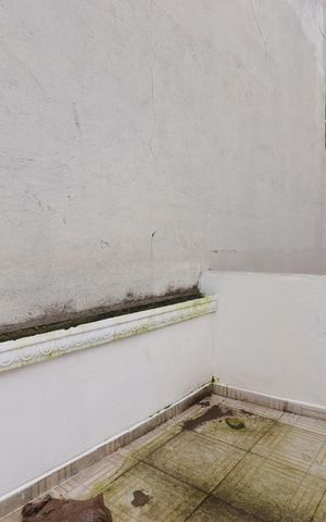 Casa à venda com 99m², 2 quartos e sem vagaQuintal
