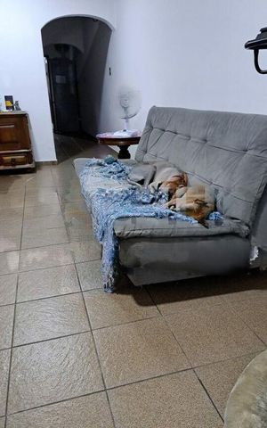Casa à venda com 250m², 3 quartos e 2 vagas
