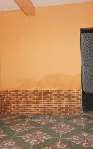 Casa para alugar com 60m², 1 quarto e sem vagaQuintal