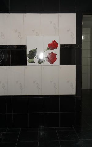 Casa para alugar com 60m², 1 quarto e sem vagaSuíte