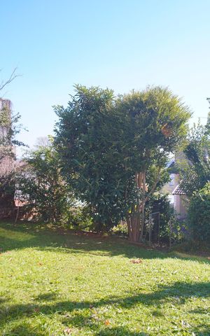 Casa para alugar com 208m², 4 quartos e 2 vagasJardim