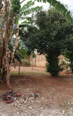 Casa para alugar com 80m², 3 quartos e 3 vagasQuintal - Pomar