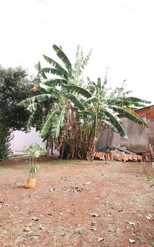 Casa para alugar com 80m², 3 quartos e 3 vagasQuintal - Pomar