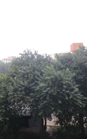 Apartamento para alugar com 35m², 2 quartos e sem vagaVista do Quarto 1