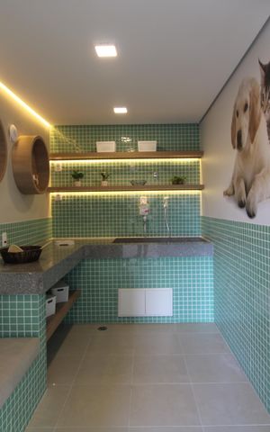 Apartamento para alugar com 34m², 2 quartos e sem vagaSala para banho de pets