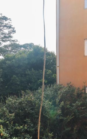 Apartamento para alugar com 50m², 2 quartos e 1 vaga Apartamento para alugar com 50m², 2 quartos e 1 vagaVista do Quarto 2
