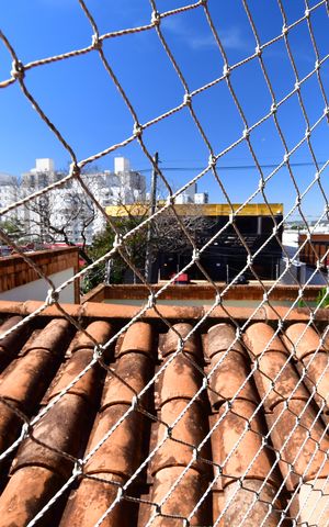 Casa para alugar com 515m², 4 quartos e 8 vagasSacada Vista