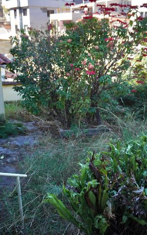 Casa à venda com 400m², 3 quartos e 1 vaga Casa à venda com 400m², 3 quartos e 1 vagaQuintal