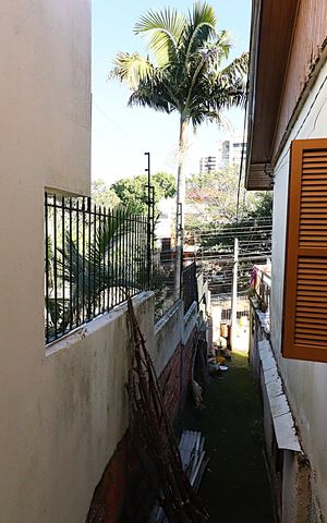 Casa à venda com 360m², 2 quartos e 3 vagasVista - Cozinha
