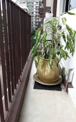 Apartamento à venda com 58m², 1 quarto e 1 vaga Apartamento à venda com 58m², 1 quarto e 1 vagaVaranda da Sala