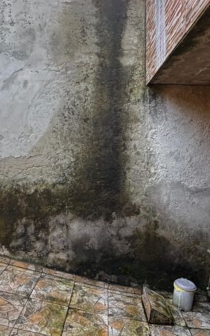 Casa para alugar com 80m², 2 quartos e 1 vaga Casa para alugar com 80m², 2 quartos e 1 vagaGaragem