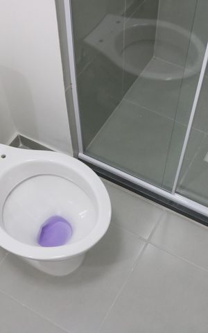 Apartamento à venda com 24m², 1 quarto e sem vagaBanheiro