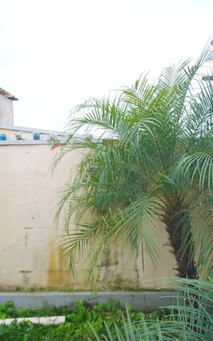 Casa para alugar com 79m², 2 quartos e 2 vagasVista do Quarto 2