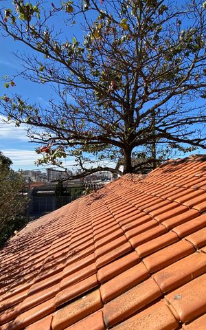 Casa para alugar com 247m², 5 quartos e 2 vagas