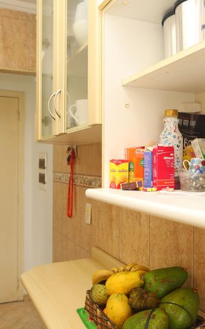 Apartamento à venda com 48m², 2 quartos e 1 vagaCozinha