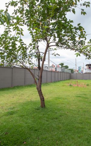 Casa de condomínio à venda com 44m², 2 quartos e 1 vaga Casa de condomínio à venda com 44m², 2 quartos e 1 vagaÁrea comum