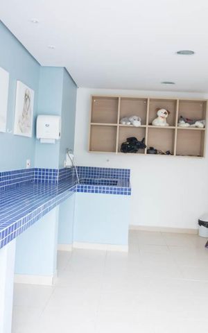 Apartamento à venda com 96m², 3 quartos e 2 vagas Apartamento à venda com 96m², 3 quartos e 2 vagasPet care