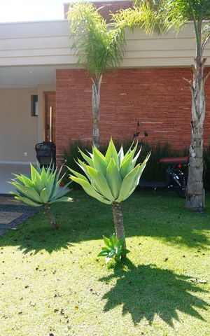 Casa de condomínio à venda com 250m², 4 quartos e 4 vagasFachada