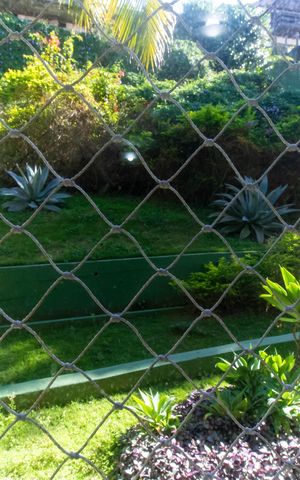Apartamento para alugar com 70m², 2 quartos e 3 vagas Apartamento para alugar com 70m², 2 quartos e 3 vagasVista da Suíte 2