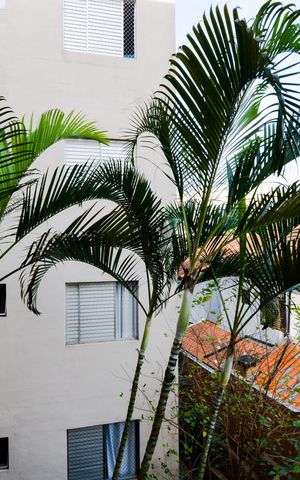 Apartamento à venda com 76m², 3 quartos e 1 vagaVista da Suíte