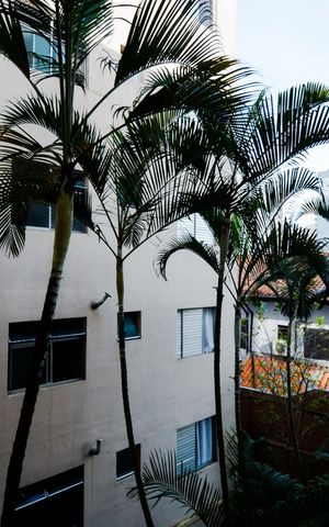 Apartamento à venda com 76m², 3 quartos e 1 vagaVista da Sala
