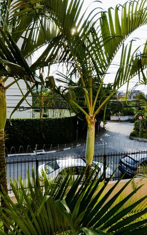 Apartamento à venda com 76m², 3 quartos e 1 vagaVista do Quarto 2