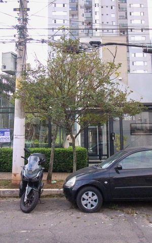 Apartamento à venda com 69m², 3 quartos e 1 vaga
