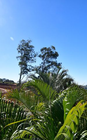 Casa de condomínio para alugar com 472m², 4 quartos e 4 vagasQuarto 4 - Suíte Sacada Vista