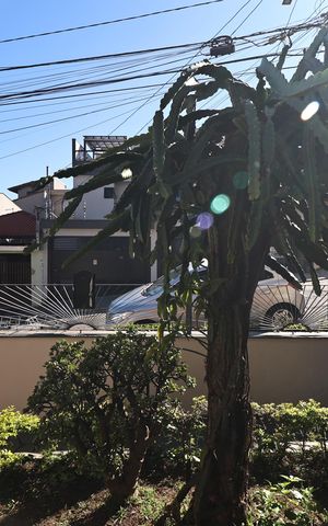 Casa à venda com 156m², 2 quartos e 3 vagas Casa à venda com 156m², 2 quartos e 3 vagasVista do Quarto 1