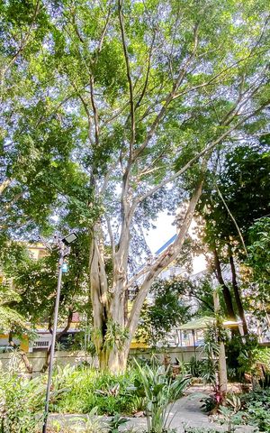 Apartamento para alugar com 50m², 2 quartos e 1 vagaÁrea comum