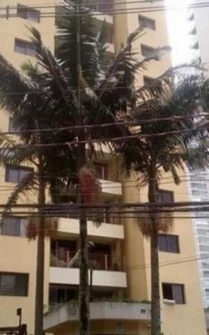 Apartamento à venda com 77m², 3 quartos e 1 vaga