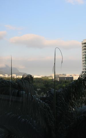 Apartamento para alugar com 90m², 3 quartos e 1 vagaSala - Varanda