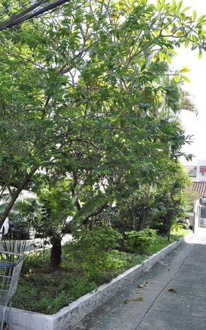 Casa de condomínio à venda com 110m², 3 quartos e sem vagaÁrea comum