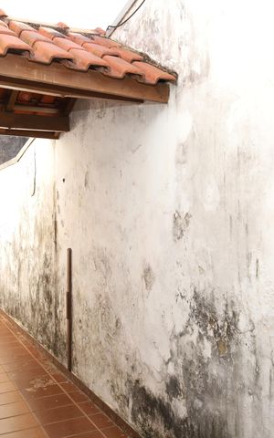 Casa à venda com 250m², 3 quartos e 5 vagasQuintal